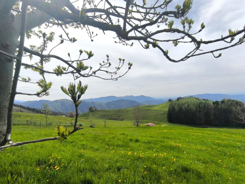 Questo è il paesaggio in cui vi troverete immersi: ampi pratoni verdi e baite sparse