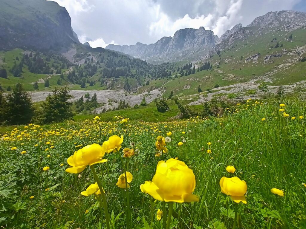 Il luogo è magnifico, non c&#039;è che dire