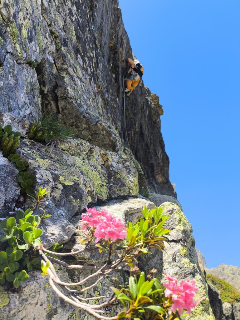 Foto artistica dell&#039;uscita di Andre dalla paretina con i rododendri in primo piano ;)