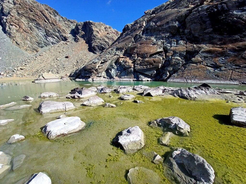 stupendo: si sta formando la crosta di ghiaccio, congelando tutto sotto la superficie