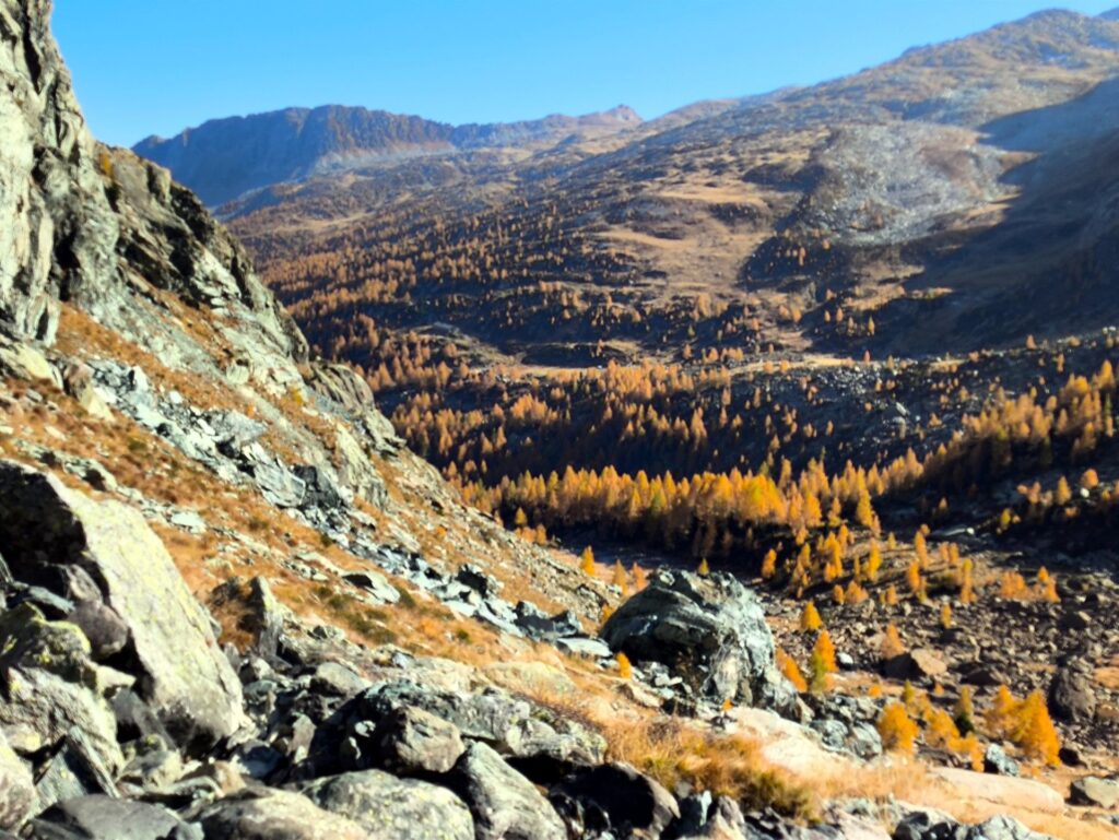 guardando giù verso la valle: la luce del meriggio si fa più sottile, ricordandoci che dobbiamo tornare