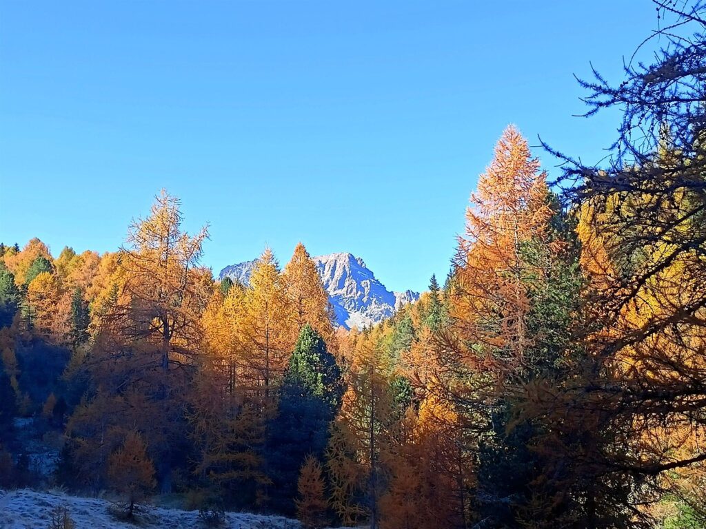 i Corni Bruciati fanno capolino mano a mano che ci si addentra in Valle Airale
