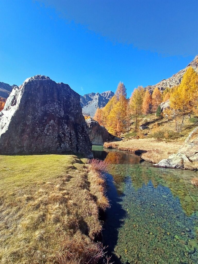 ed eccoci arrivati al Rifugio, vicino al quale i larici si specchiano nelle pozze del torrente