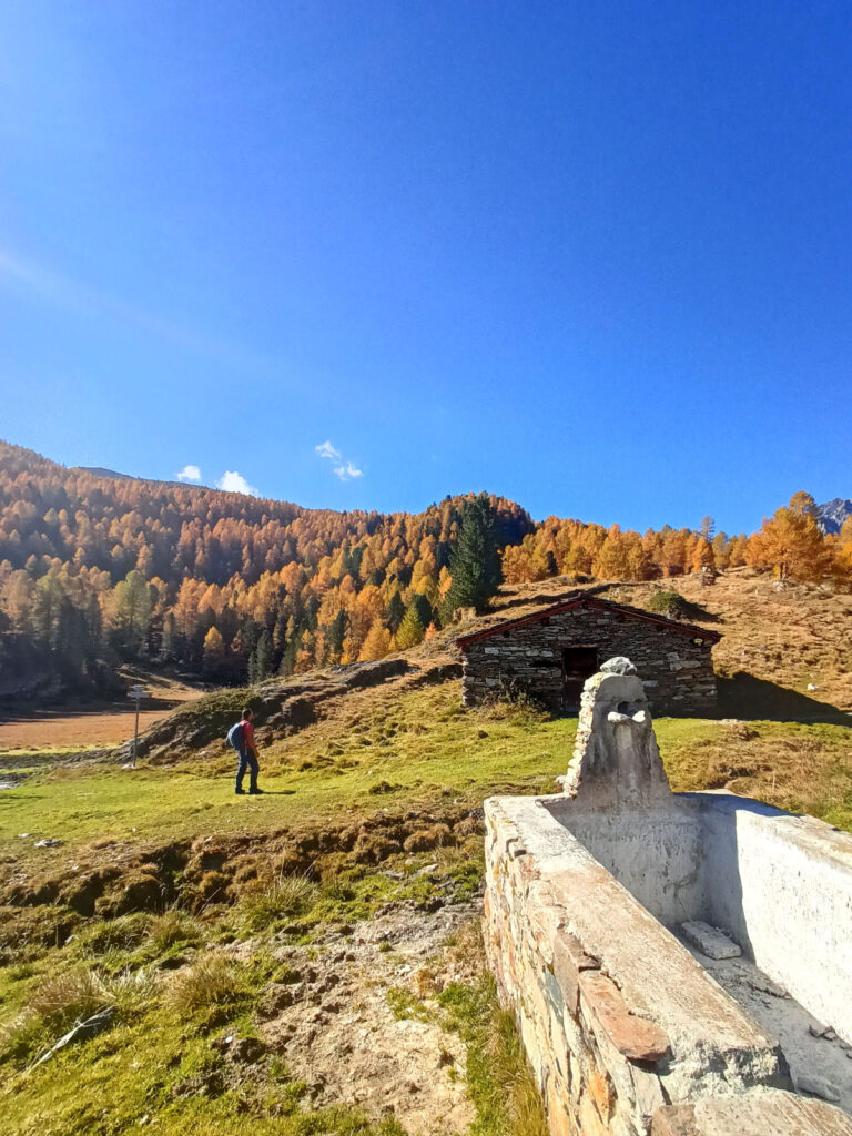 la camminata fino al Bosio Galli è rilassante e rilassata, in un ambiente da favola