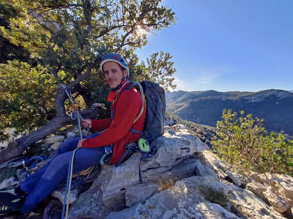 la sosta su albero sulla cima del Campanile la sosta su albero sulla cima del Campanile