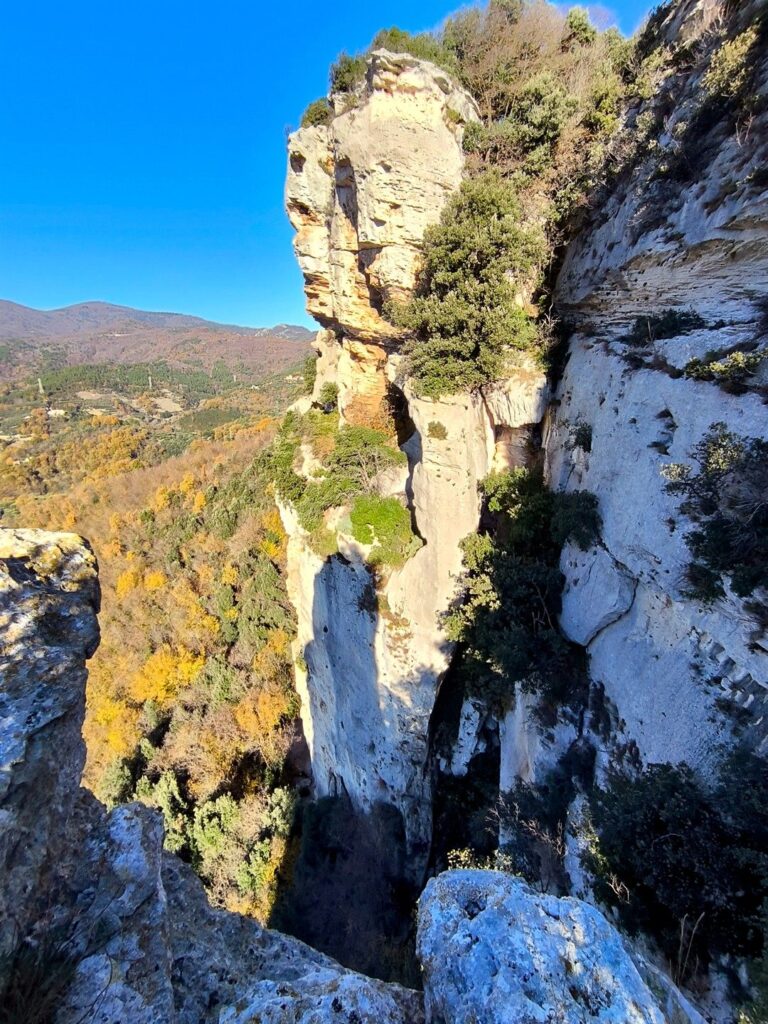 scorcio dalla cima del Campanile scorcio dalla cima del Campanile