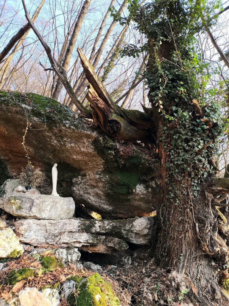 il bel bosco che si attraversa in discesa