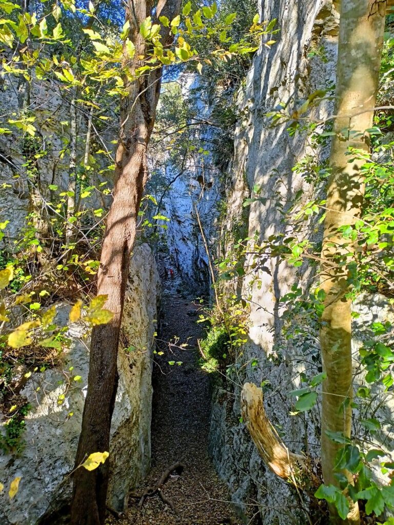 in discesa ci si insinua in questo canyon, che è un settore di arrampicata vero e proprio in discesa ci si insinua in questo canyon, che è un settore di arrampicata vero e proprio