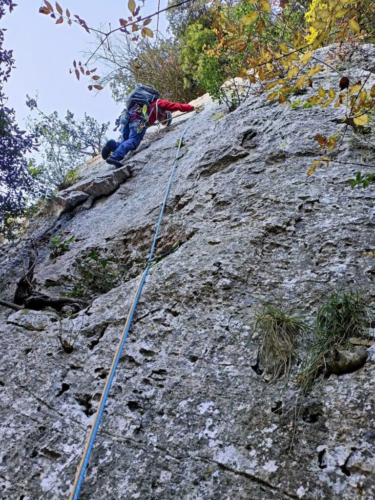 superato questo punto la placca diventa davvero avara superato questo punto la placca diventa davvero avara
