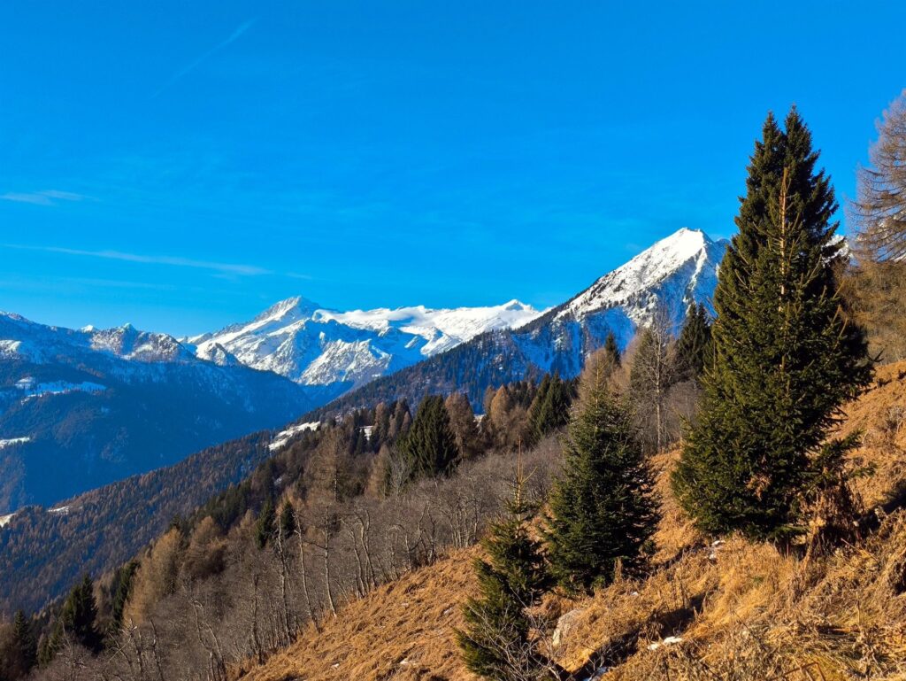 non solo Brenta! Anche il Pian di Neve - purtroppo secchissimo - fa bella mostra di se