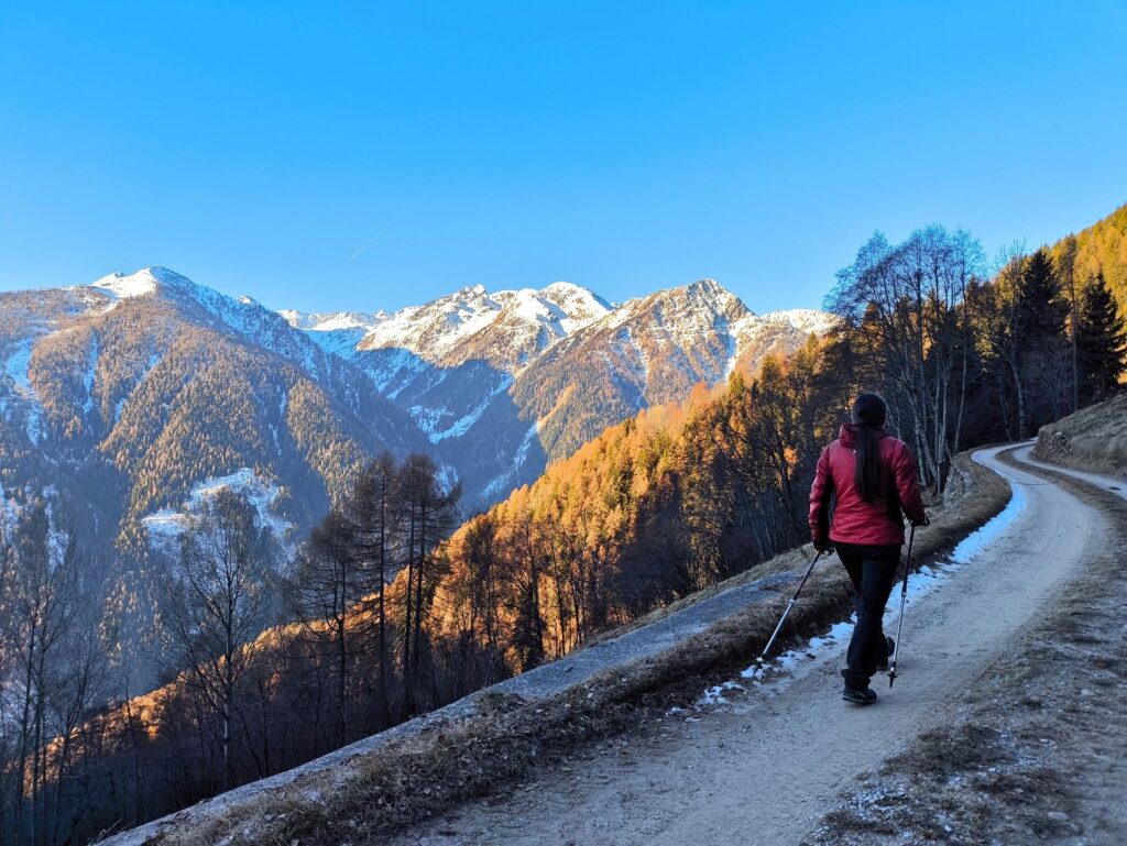 iniziamo a camminare su comoda strada forestale, in un paesaggio che per noi &egrave; nuovo di zecca