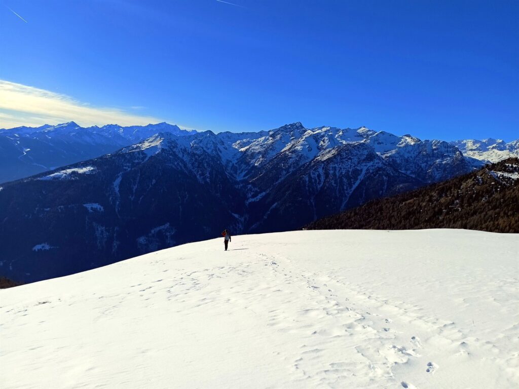 e via che si scende... un po' come capita, fino a riguadagnare la strada forestale