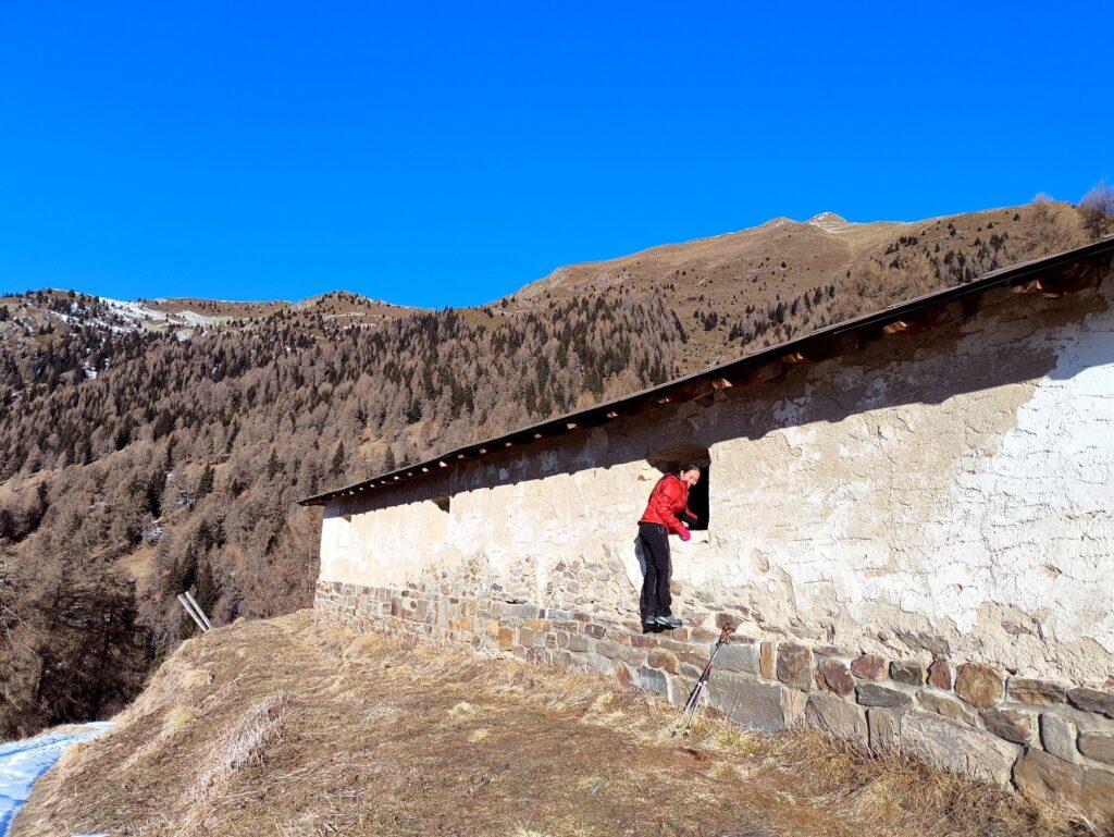 la grande stalla della Malga Cortinga di Sotto