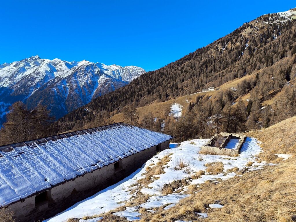 guardando verso la Val di Rabbi: noi siamo proprio all'inizio, dove si stacca dalla Val di Sole