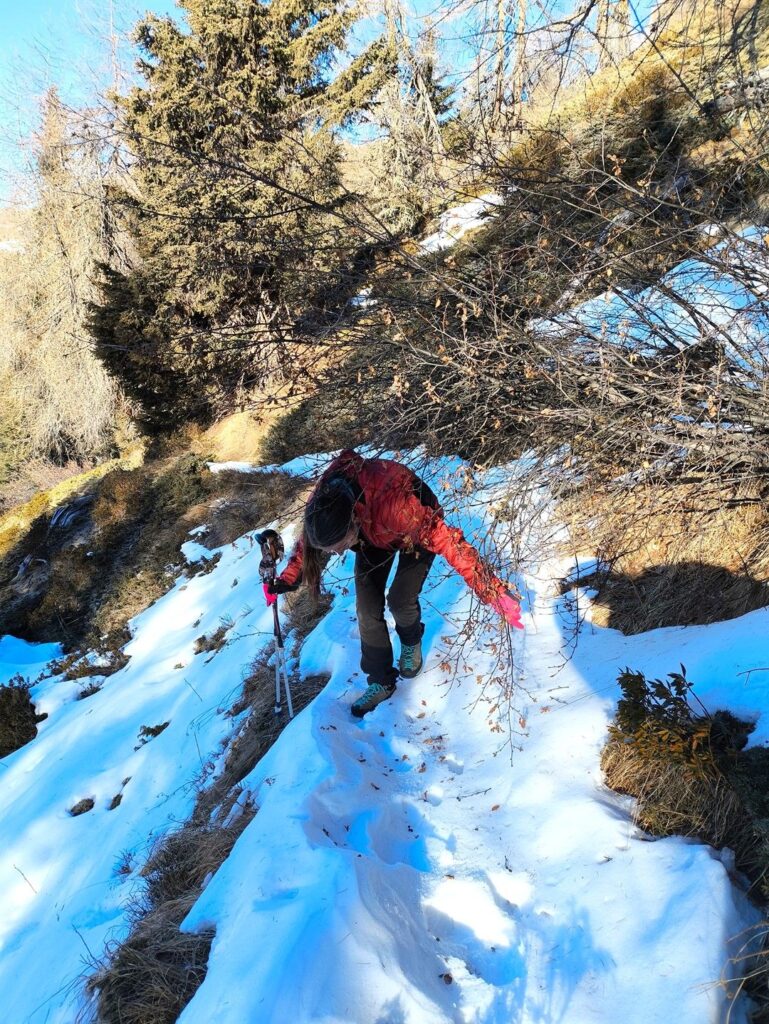il sentiero dell'andata &egrave;... un filino faticoso!