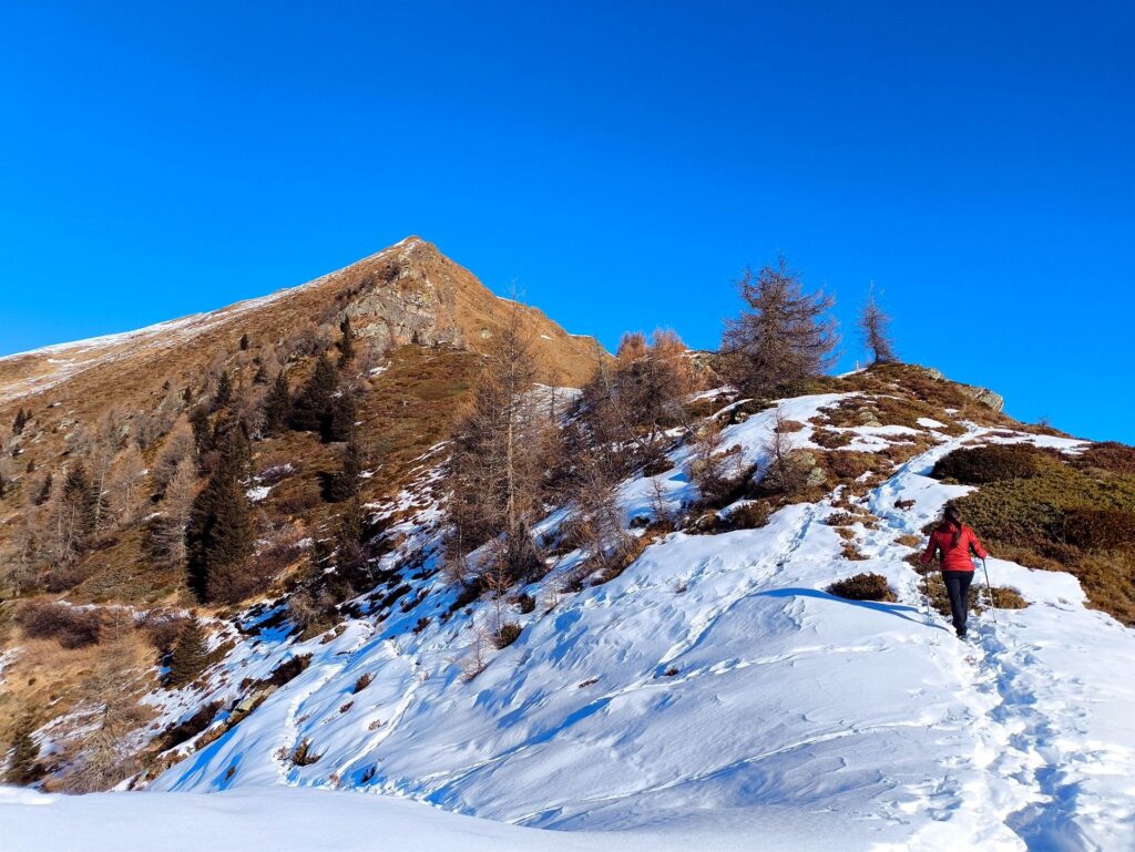 si percorre su sentiero la cresta sud della Cima Vese