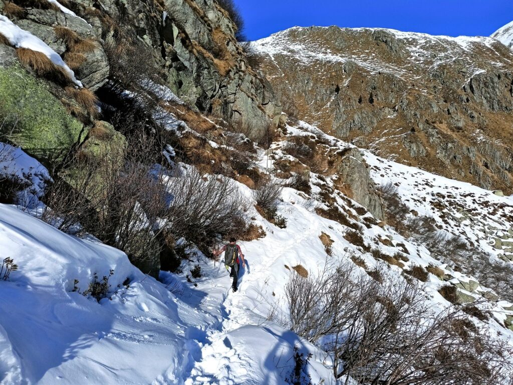 simpatici traversi sfondosi nella valle a monte di Malga Valchestria