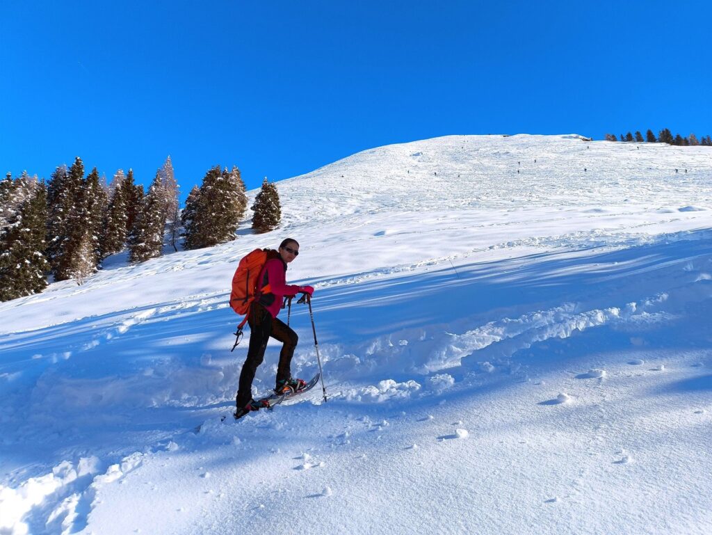 fuori dal bosco la visuale si apre: e verso la cima ci sono un sacco di "puntini" che pellano