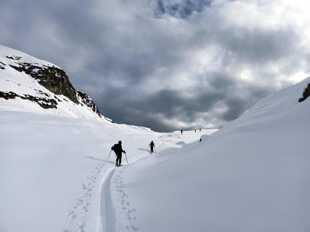 il bosco scompare e lascia spazio a rilassati pendii che sono uno spettacolo