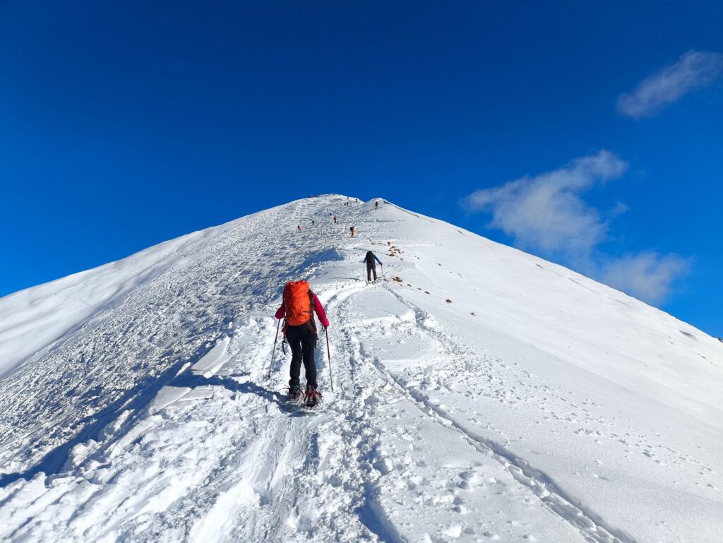 l'ampio pendio del Timogno, che sale con pendenza comoda e costante