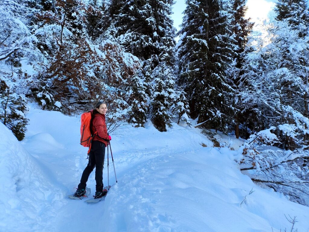 bello il boschetto innevato!