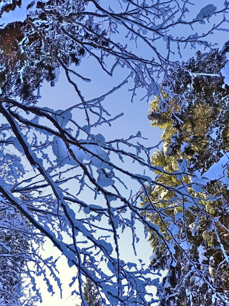 merletti bianchi incorniciano il cielo