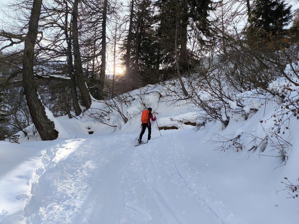lungo i tornanti della strada forestale che porta alle baite superiori