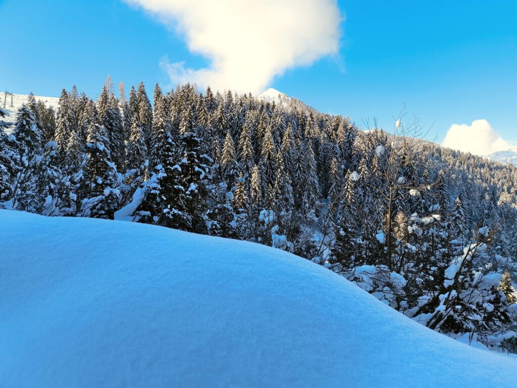 non sembra quasi di essere vicini alle piste