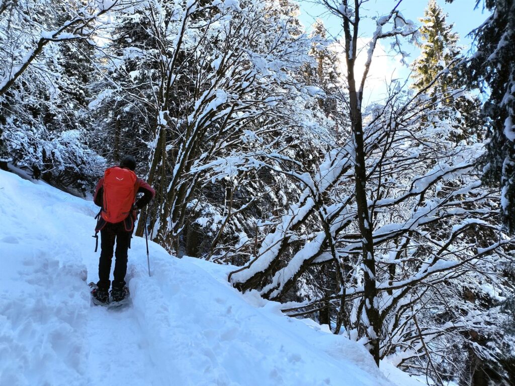 tutta la prima parte nel bosco &egrave; assai godibile (e ovviamente solcata da innumerevoli tracce)