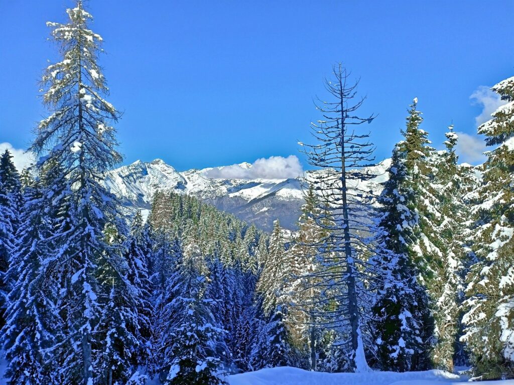 bella vista sulle Orobie