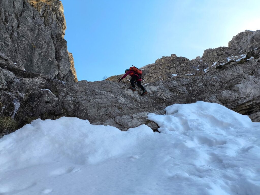Erica sul saltino roccioso Erica sul saltino roccioso