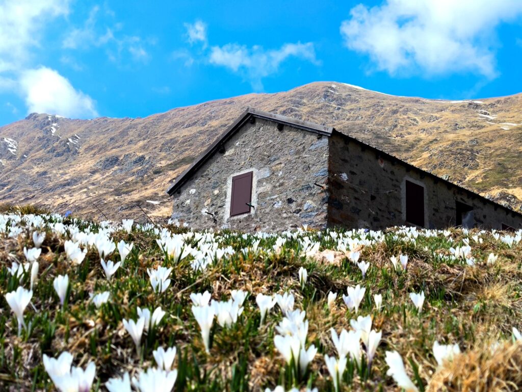 ci mettiamo di impegno cercando "lo scatto perfetto"