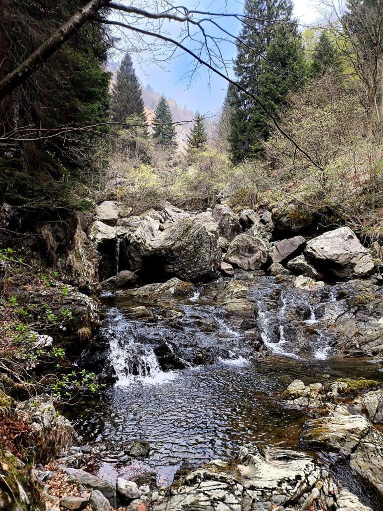 lungo la Val Mora si aprono scorci interessanti sull'omonimo torrente