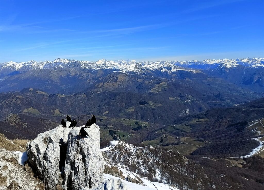 Giornata stupenda con visibilità infinita. Anche i gracchi apprezzano ;) Giornata stupenda con visibilità infinita. Anche i gracchi apprezzano ;)