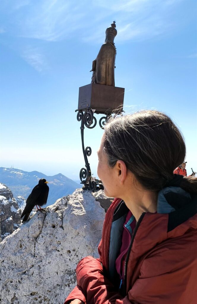 Erica e il gracchio si studiano a vicenda Erica e il gracchio si studiano a vicenda