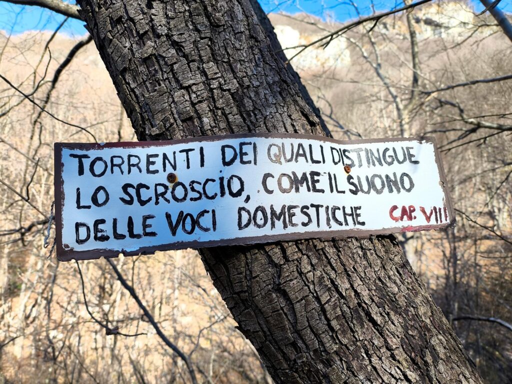 Un piccolo estratto dei Promessi Sposi affisso su un albero nei pressi del torrente Un piccolo estratto dei Promessi Sposi affisso su un albero nei pressi del torrente