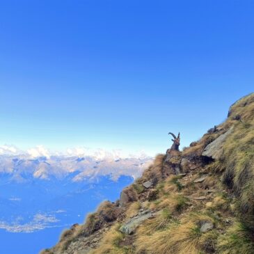 Monte Legnone: una Normale stra-ordinaria