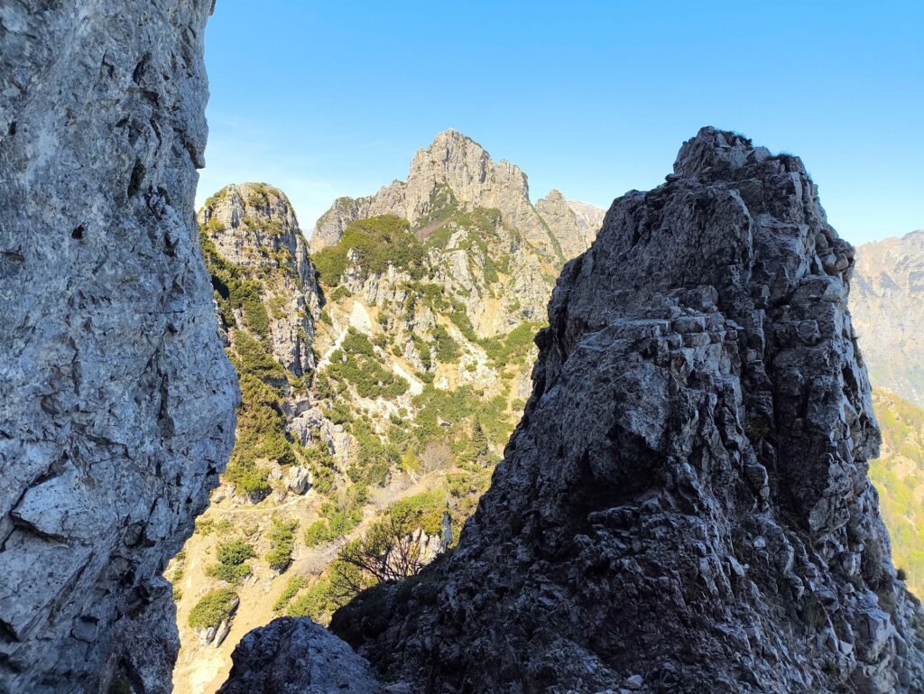 dalla sosta del sesto tiro, all'ombra... fa un freddo cane