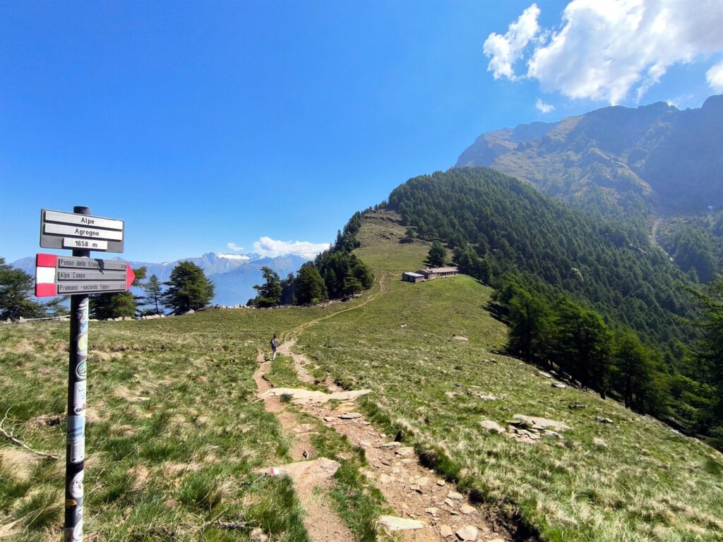 prima tappa, l'Alpe Agrogno Bassa prima tappa, l'Alpe Agrogno Bassa