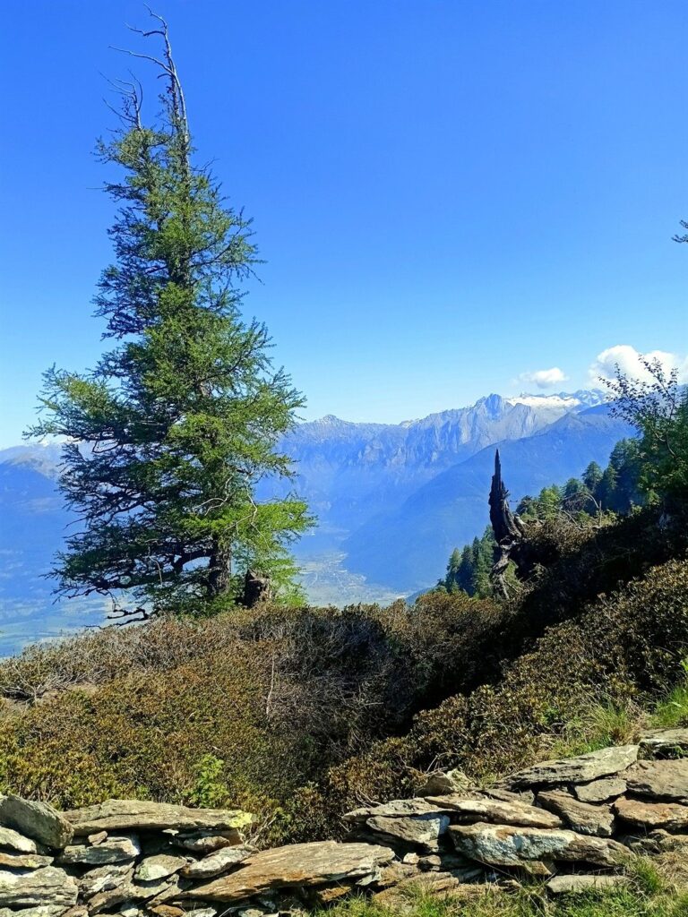 da qui si gode dei primi scorci panoramici verso la Valtellina... e oltre! da qui si gode dei primi scorci panoramici verso la Valtellina... e oltre!
