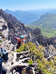 Erica con il leggendario pino mugo centenario della via Cassin