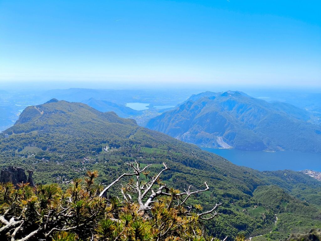 La vista dal terrazzino con pino mugo guardando verso la pianura