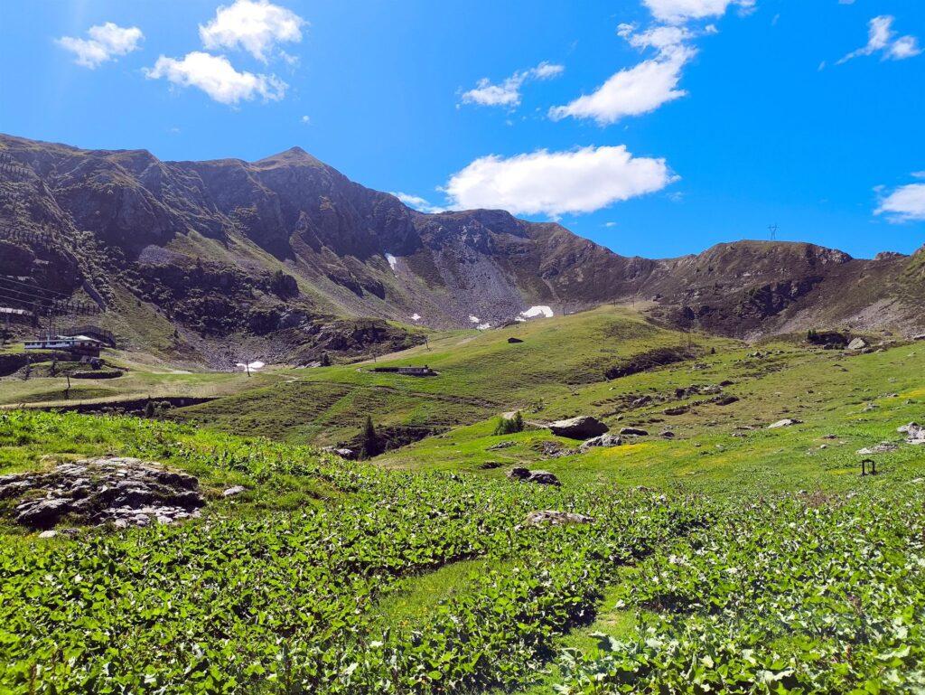 dopo una quarantina di minuti su larga e comoda mulattiera si arriva ai prati del Rifugio Salmurano