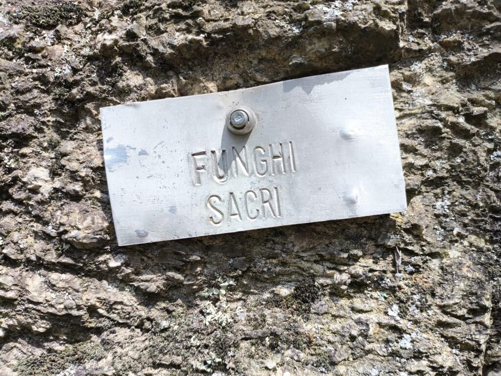 Nessuna difficoltà ad individuare la partenza delle vie ;) Nessuna difficoltà ad individuare la partenza delle vie ;)