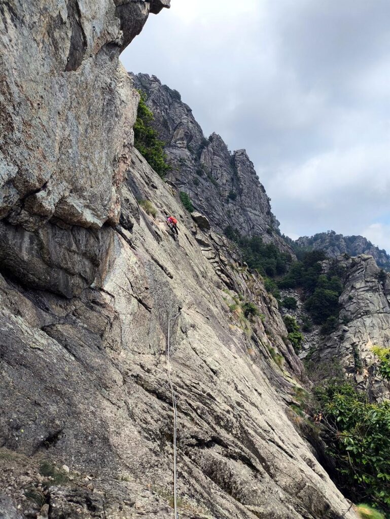 Erica sull'ultimo tiro porta fuori dalla parete Erica sull'ultimo tiro porta fuori dalla parete