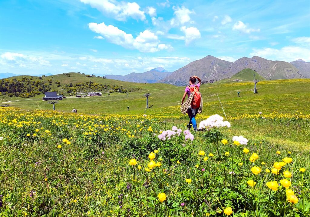 Erica sulla via del rientro con i prati in fiore dei Piani di Bobbio Erica sulla via del rientro con i prati in fiore dei Piani di Bobbio
