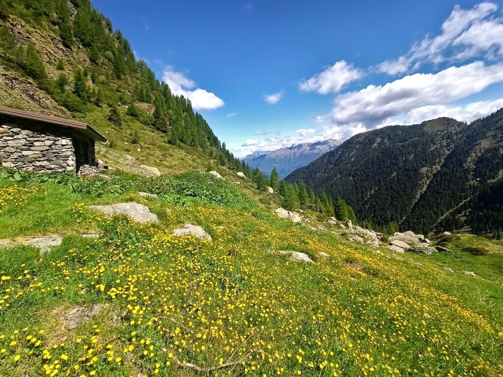 il punto con la casetta in pietra subito dopo la quale c'&egrave; il bivio che permette di salire ai paravalanghe