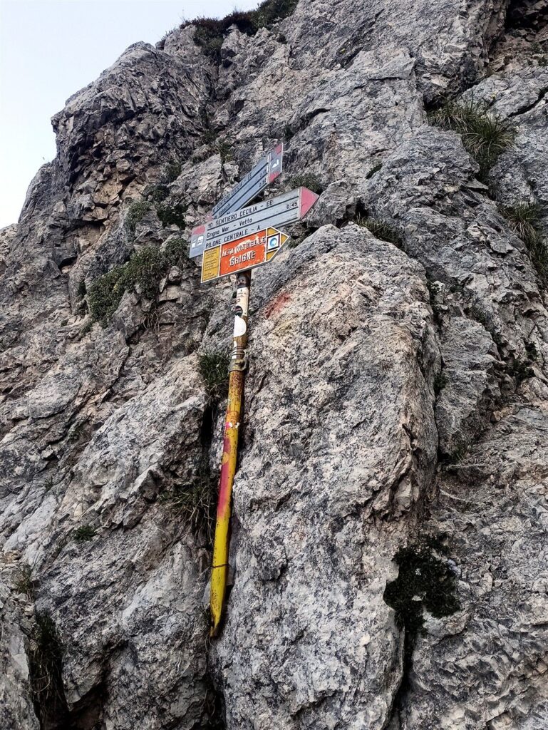risalendo il canalone siamo arrivati al sentiero alto, che da Colle Valsecchi attraversa verso la Cermenati
