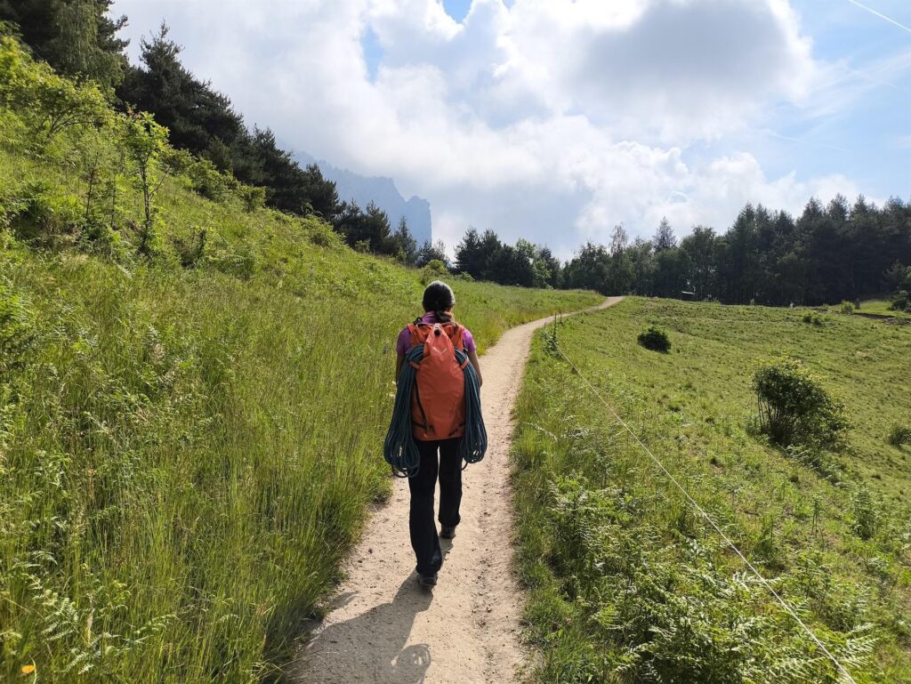 Erica lungo il comodo sentiero che porta verso il rifugio Melano Erica lungo il comodo sentiero che porta verso il rifugio Melano