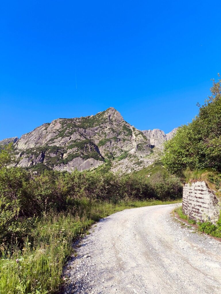lungo la strada sterrata che porta alla Malga Vallina d'Amola, il Corno di Pedertich &egrave; gi&agrave; ben visibile